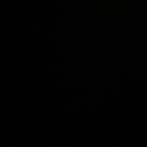 Meet your Posher, Skylar